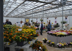 De variëteiten van Brandkamp.